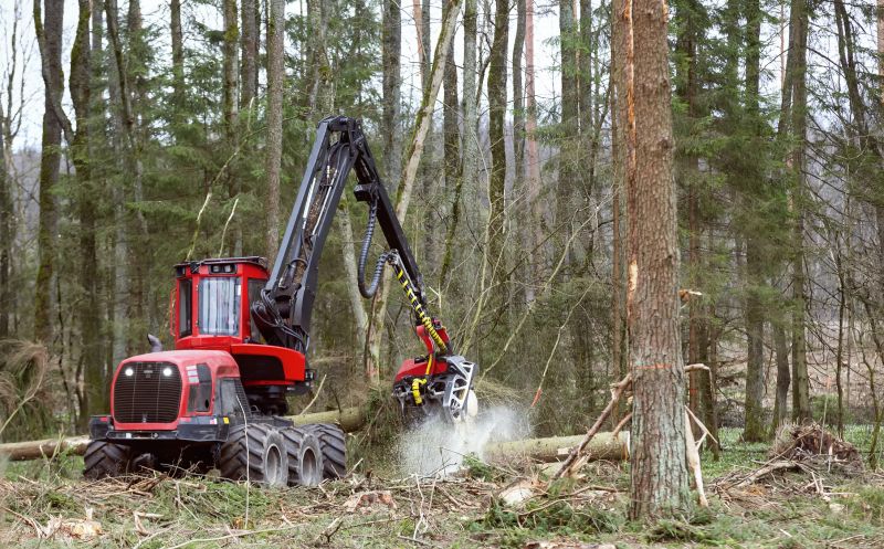 Commercial Forestry Clearing