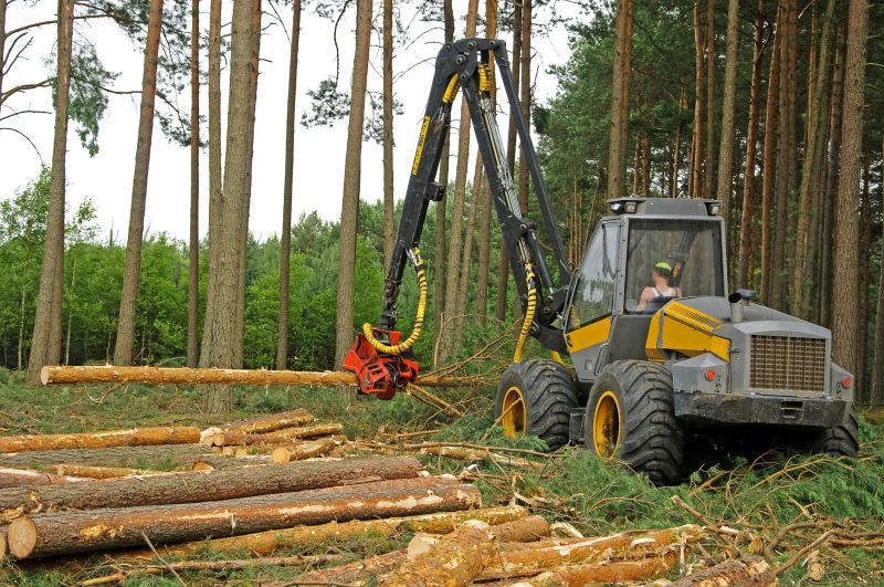 Commercial Forestry Clearing