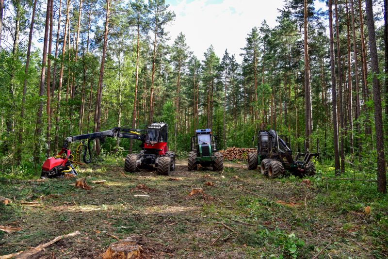 Commercial Forestry Clearing