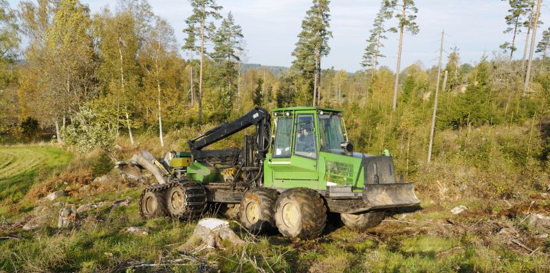 Commercial Forestry Clearing