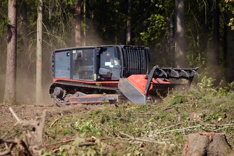 Commercial Forestry Clearing