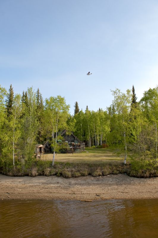 Commercial Forestry Clearing