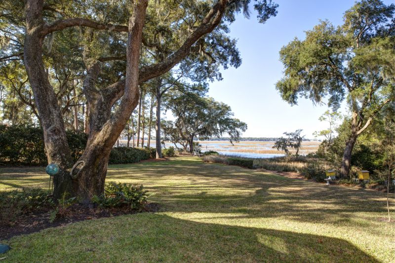 Commercial Forestry Clearing