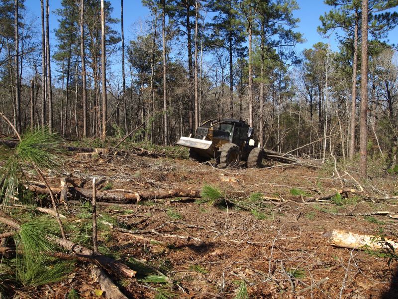 Forestry Equipment in Action