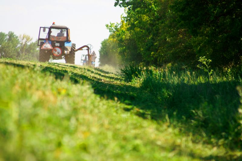 Commercial Forestry Clearing