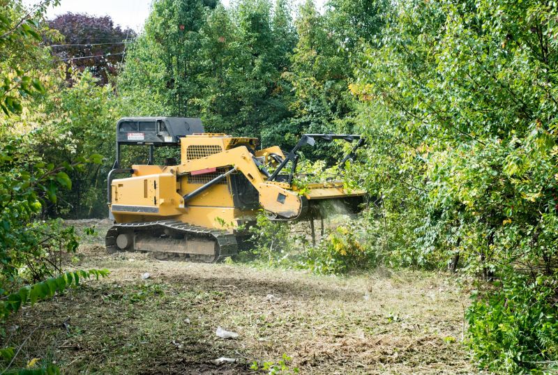 Increase Your Commercial Forestry Clearing Business with an AI Driven, Targeted Website